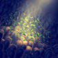 Intestinal bacteria, Gut flora health Gut flora,
